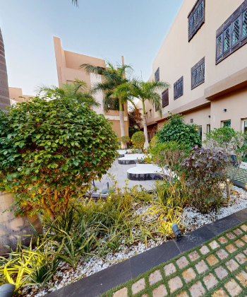 Overlooking-the-Garden